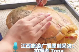 给乌龟剥壳原来这么解压！防止堵塞过滤和划伤别的龟，“好小众的赛道 龟壳竟是手动剥落的”视频封面