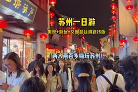 人均一百多！苏州一日游超丝滑路线～总要来趟苏州吧视频封面