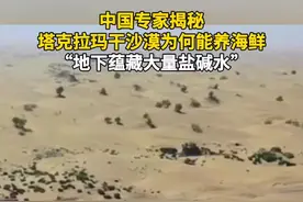 中国专家揭秘塔克拉玛干沙漠为何能养海鲜:“地下蕴藏大量盐碱水”。#今日国土科普 #今日国土资源 #塔克拉玛干沙漠视频封面