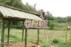 搭建竹屋 竹子搭建小屋，经久耐用制作简单#制作过程 #手工视频封面