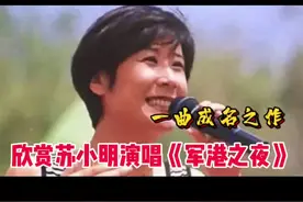 #一代人的回忆 #回声嘹亮歌曲
