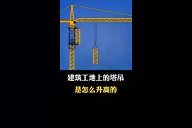 建筑工地上的塔吊是怎么升高的？ #科普 #涨知识 #有趣的知识又增长了 #冷知识 #知识分享