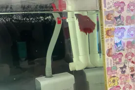 周转箱的气泡怎么解决啊 水面上一层小气泡了😭#养鱼日记视频封面