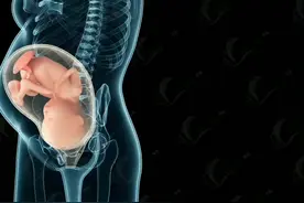 #3d动画演示 #医学动画 十月怀胎，一朝分娩视频封面