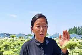 胡萝卜的种植时间 胡萝卜的种植时间#胡萝卜种植 #蔬菜种植 #生菜杨姐 #三农 @DOU+小助手视频封面