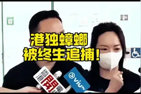 港独蟑螂被终生追捕！#香港 #香港生活 #香港特别行政区 #曱甴