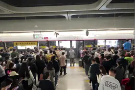 11号线疯了吧#深圳地铁 #挤地铁视频封面