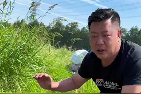 崖口村位于广东省中山市东南部，这个海边村庄声名远播，是因为村里仍实行人民公社制度，独树一帜地生活在珠三角繁喧的市场经济里视频封面