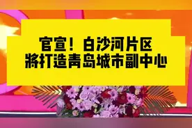 青岛白沙河片区打造青岛城市副中心，七百多亩湿地公园已开工视频封面