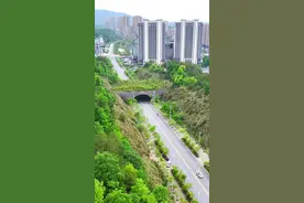 这里被誉为国内最短隧道。他就是湖北罗田城东隧道。长度不过五十余米，车辆穿越，仅需短短3秒。当你从空中俯瞰，隧道建在两山之间。或许你会好奇，这样短的距离，为何不直接开山修路，反而要耗费人力物力去建造一个隧道呢？直接推平修路不是更节省时间和资金吗？你们知道其中原因吗？#罗田#隧道#城市建设