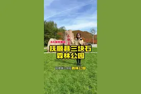 抚顺也有这样美的枫叶！就在三块石！大美抚顺，欢迎你！#三块石森林公园 #枫叶 #抚顺热乎气 #山水秋韵多彩抚顺