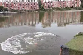 80后隔壁老王的表演，如果动作不标准，那就曰后一起探讨。