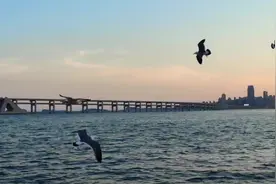 感谢你们来过视频封面