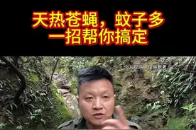 怕蚊子的看过来#蚊子#户外#农村生活#苍蝇