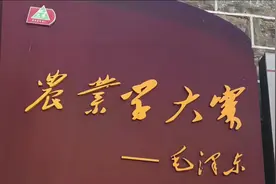 拜访当年铁姑娘队队员 95岁高龄的宋立英老人视频封面
