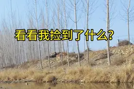 有多少朋友在河边捡到过鸭蛋？评论区告诉我……#鸭子 #奇妙的动物 #神奇动物在抖音 #动物成精 #农村生活视频封面