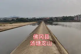 20241014 佛冈县汤塘镇龙山镇，稻田，无土蔬菜基地，水坝，古屋视频封面