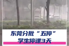 9月22日15时起，东莞全市分批实行“五停”措施。#桦加沙 #五停 #东莞dou知道