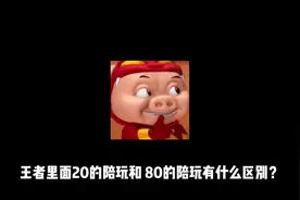 王者里面20的陪和80的陪有什么区别？  #王者荣耀 #测评视频封面