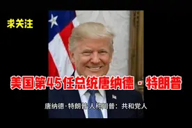 美国第45任总统唐纳德·特朗普 美国第45任总统唐纳德·特朗普