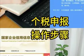 个人所得税申报操作步骤#会计#会计实操 #个人所得税申报 #财税视频封面