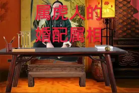 属虎人的婚配属相#74年的虎 #生肖虎 #属虎 #86年的虎 #98年的虎视频封面