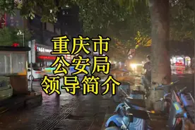 重庆市公安局领导简介#重庆dou知道