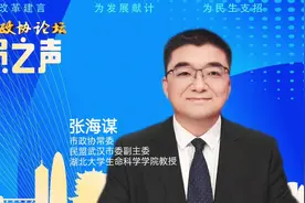 #人才 加大武汉企业博士后人才队伍建设视频封面
