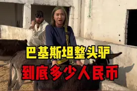 巴基斯坦整头驴，到底需要人民币#西域黑妞巴基斯坦友谊村 #巴基斯坦风土人情纪实 #巴基斯坦 #记录国外真实生活 #抖音美食推荐官视频封面
