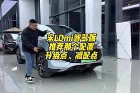 宋L Dmi智驾版 买那个配置划算，有哪些升级点和减配点#比亚迪