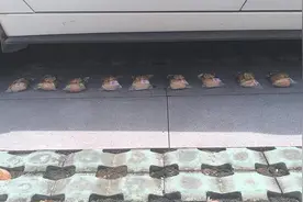 压扁的面包是真好吃啊 #压扁的小面包有多好吃 #压扁的面包