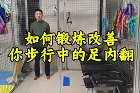 如何锻炼改善你步行中的足内翻#康复锻炼 #运动康复 #手指伸不直视频封面