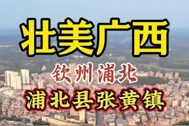进入钦州浦北的第一站来到了张黄镇，跟我们一起走进这个浦北的南大门吧#钦州#浦北#美食#广西#乡镇生活视频封面