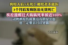 广东一人被狗咬伤不就医患狂犬病身亡（广州日报） 