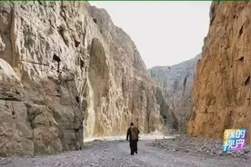 白占荣，[1]乌海美协副主席视频封面