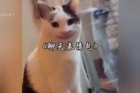 发消息喜欢带表情、表情包的人一定很温柔吧… #内容过于真实