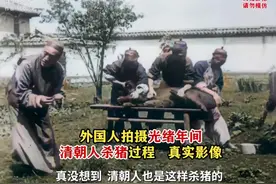 真实历史影像，清朝人也喜欢吃猪肉，是这样杀猪的。视频封面