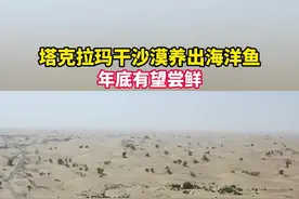 塔克拉玛干沙漠养出海洋鱼 年底有望尝鲜视频封面