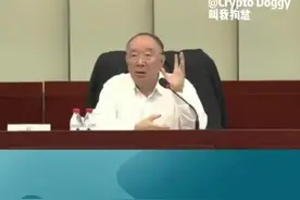 黄奇帆谈希音shein视频封面