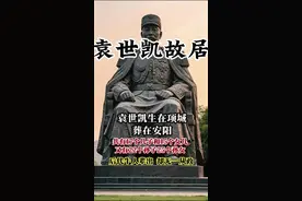 项城出生的乱世枭雄，最终长眠安阳洹上村。这位风云人物家庭庞大，有多个妻妾和子女，竟留下惊人的家族！ 袁氏后人都默契地远离政坛，在科技、艺术等领域延续着家族传奇，用另一种方式诠释着"乱世生存智慧”。#历史人物