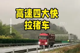高速四大快之拉猪车 你见过高速上的拉猪车吗#每天一个用车知识 #汽车知识分享 #行驶在高速路上的大货车 #高速行车安全视频封面