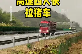 高速四大快之拉猪车 你见过高速上的拉猪车吗#每天一个用车知识 #汽车知识分享 #行驶在高速路上的大货车 #高速行车安全视频封面