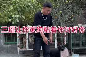 #新手养狗 #养狗经验分享 #科学养宠攻略视频封面