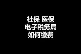 电子税务局干货教程：社保 医保 缴纳方法视频封面