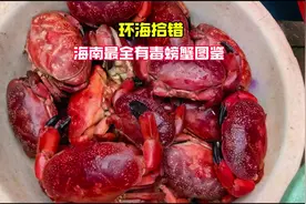 海南有毒螃蟹介绍，居然还有全村吃饭蟹！ #环海拾错