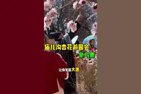 第十届庙儿沟杏花游园会即将开幕！这波早鸟票可别错过#万人说新疆 #春日游玩攻略 #杏花视频封面