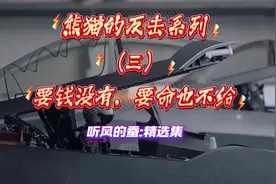 熊猫的反击系列第三集＿要钱没有，要命也不给！#大国博弈视频封面