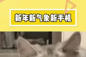 谁还在花钱买苹果手机呀#苹果16 #手机 #得物0元抽视频封面