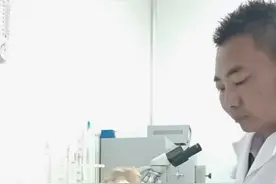 鸡枞 鸡枞菌种巢培育过程#鸡枞 #新农人计划视频封面