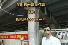 深圳拆除石岩料坑村的民房，市政征收补偿为六千一平视频封面